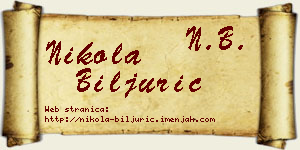 Nikola Biljurić vizit kartica